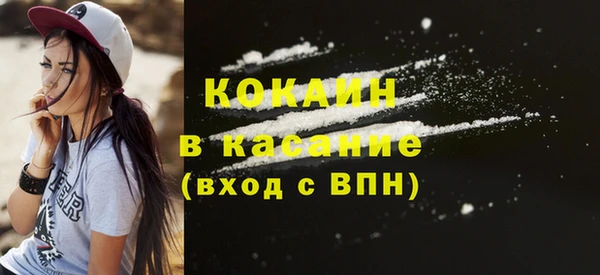 индика Армянск