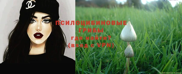 индика Армянск
