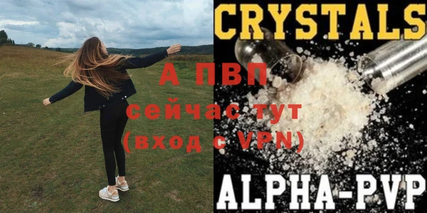индика Армянск