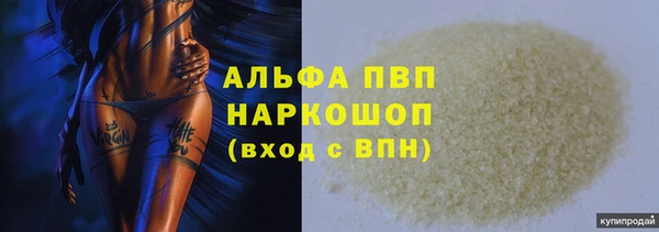 СК Арсеньев