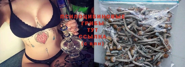 СК Арсеньев