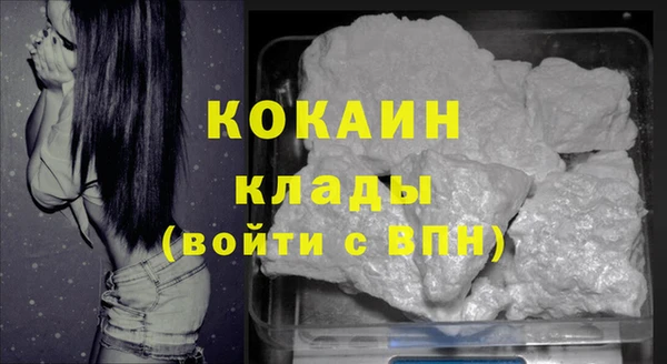 индика Армянск