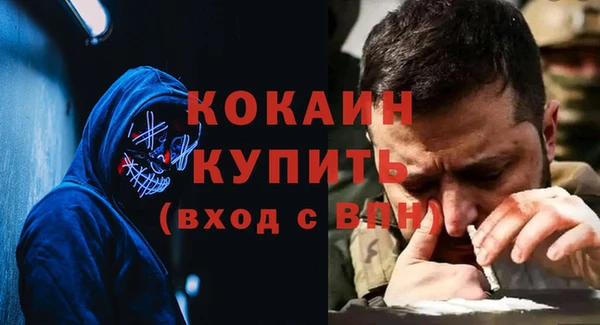 индика Армянск