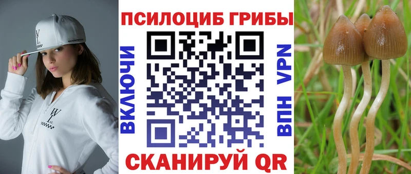 Псилоцибиновые грибы MAGIC MUSHROOMS  ссылка на мегу как войти  Балтийск  дарнет шоп 